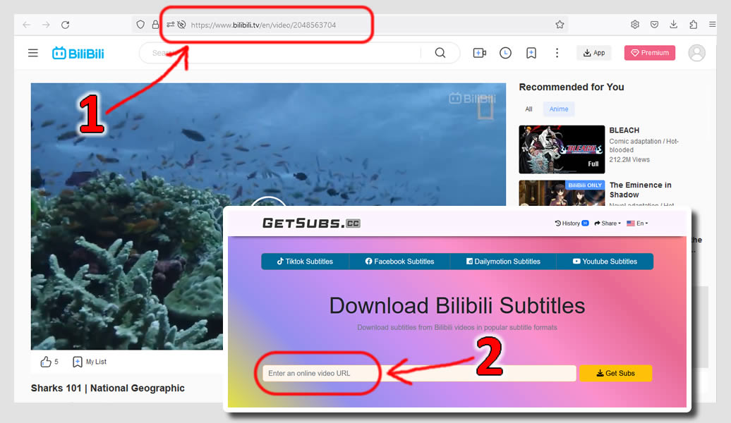 Step by step tutorial to save Bilibili subtitles on pc's