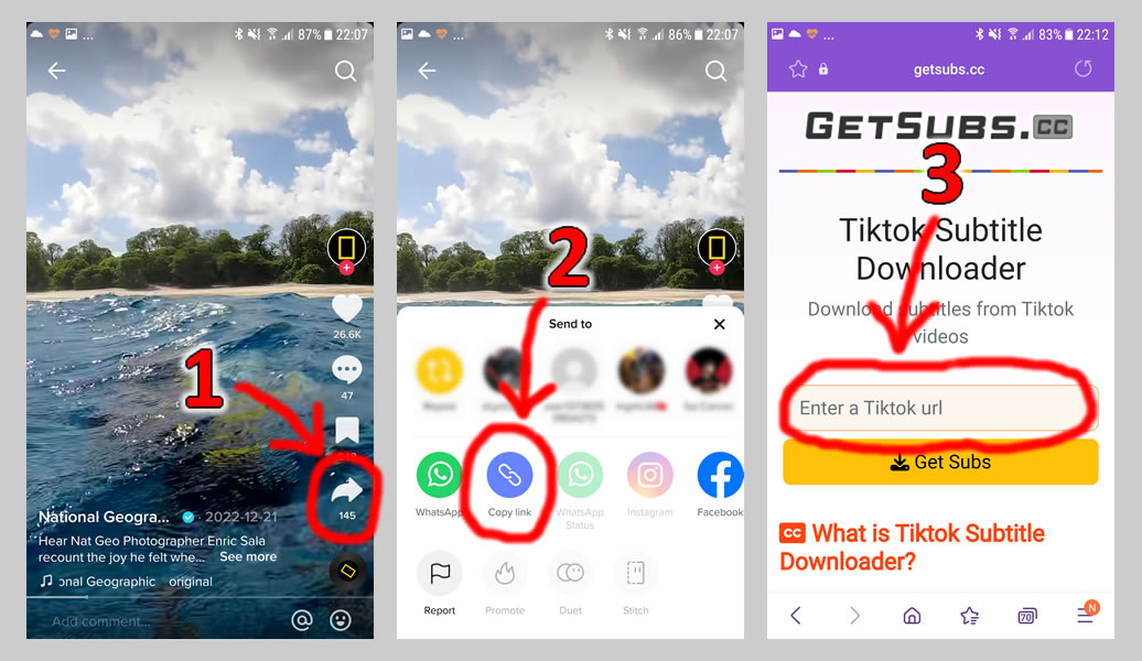 Step by step demonstration for downloading subtitles from Tiktok